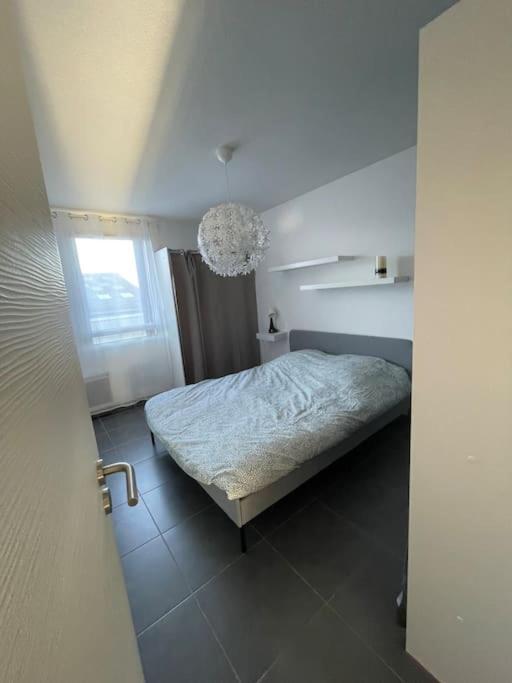 Apartment Between City Center And Beachs Montpellier Exterior foto